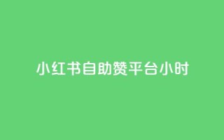 小红书自助赞平台24小时 - 24小时全天候自助赞平台,小红书助力您的SEO优化~
