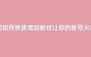 涨粉上热门 - 如何快速增加粉丝,让你的账号火起来~