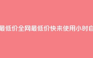 小时自助下单全网最低价 - 全网最低价!快来使用小时自助下单服务~