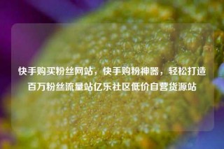 快手购买粉丝网站,快手购粉神器,轻松打造百万粉丝流量站亿乐社区低价自营货源站
