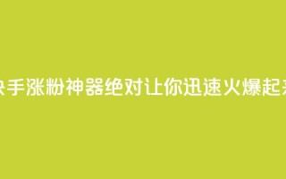 快手涨粉神器:绝对让你迅速火爆起来