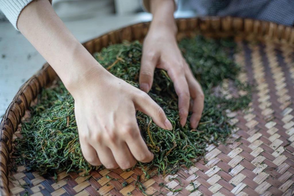 跨省采茶女工刷屏：只要不嫌我老	，明年还来  第11张