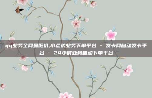 qq业务全网最低价,小老弟业务下单平台 - 发卡网自动发卡平台 24小时业务自动下单平台  第1张