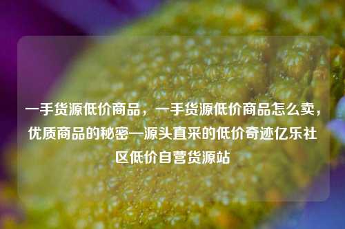 一手货源低价商品	，一手货源低价商品怎么卖，优质商品的秘密—源头直采的低价奇迹亿乐社区低价自营货源站  第1张