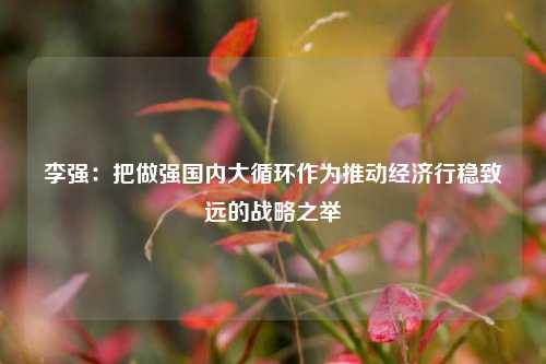 李强:把做强国内大循环作为推动经济行稳致远的战略之举  第1张 李强:把做强国内大循环作为推动经济行稳致远的战略之举  第1张