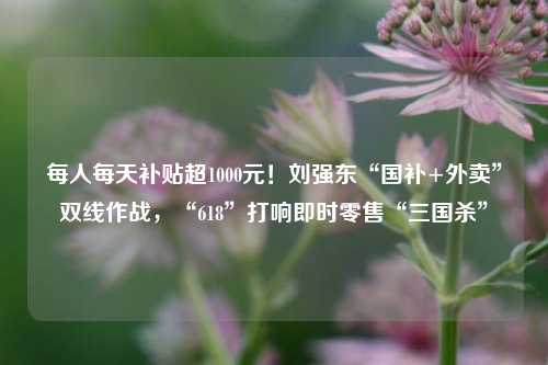 每人每天补贴超1000元！刘强东“国补+外卖	”双线作战，“618”打响即时零售“三国杀”  第1张