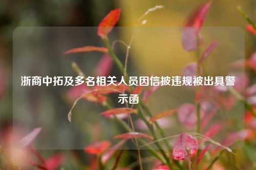 浙商中拓及多名相关人员因信披违规被出具警示函  第1张 浙商中拓及多名相关人员因信披违规被出具警示函  第1张