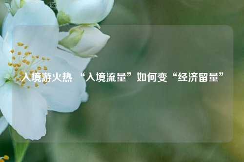 入境游火热 “入境流量”如何变“经济留量”  第1张