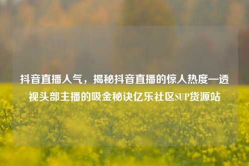 抖音直播人气，揭秘抖音直播的惊人热度—透视头部主播的吸金秘诀亿乐社区SUP货源站  第1张