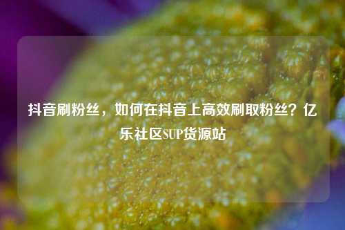 抖音刷粉丝，如何在抖音上高效刷取粉丝？亿乐社区SUP货源站  第1张