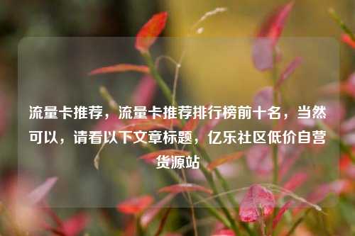 流量卡推荐，流量卡推荐排行榜前十名	，当然可以，请看以下文章标题，亿乐社区低价自营货源站  第1张