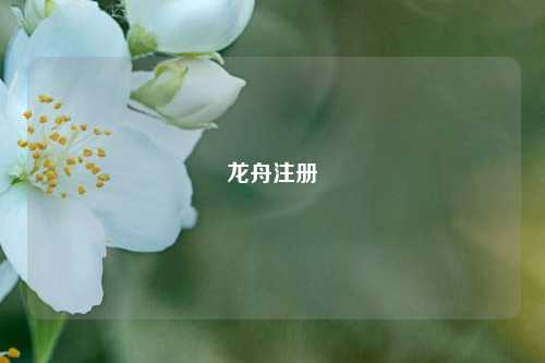 龙舟注册  第1张