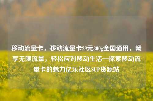 移动流量卡	，移动流量卡29元300g全国通用，畅享无限流量，轻松应对移动生活—探索移动流量卡的魅力亿乐社区SUP货源站  第1张