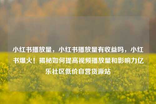 小红书播放量，小红书播放量有收益吗，小红书爆火！揭秘如何提高视频播放量和影响力亿乐社区低价自营货源站  第1张