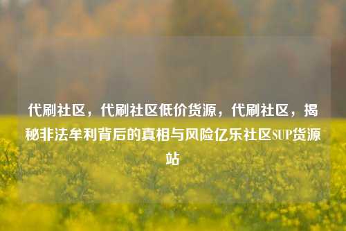 代刷社区	，代刷社区低价货源，代刷社区，揭秘非法牟利背后的真相与风险亿乐社区SUP货源站  第1张
