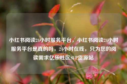 小红书阅读24小时服务平台，小红书阅读24小时服务平台是真的吗，24小时在线	，只为您的阅读需求亿乐社区SUP货源站  第1张