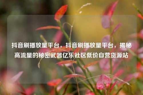 抖音刷播放量平台	，抖音刷播放量平台，揭秘高流量的秘密武器亿乐社区低价自营货源站  第1张