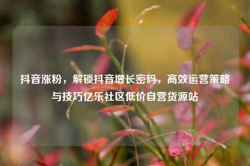 抖音涨粉，解锁抖音增长密码，高效运营策略与技巧亿乐社区低价自营货源站  第1张