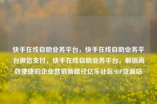 快手在线自助业务平台，快手在线自助业务平台微信支付，快手在线自助业务平台	，解锁高效便捷的企业营销新路径亿乐社区SUP货源站  第1张
