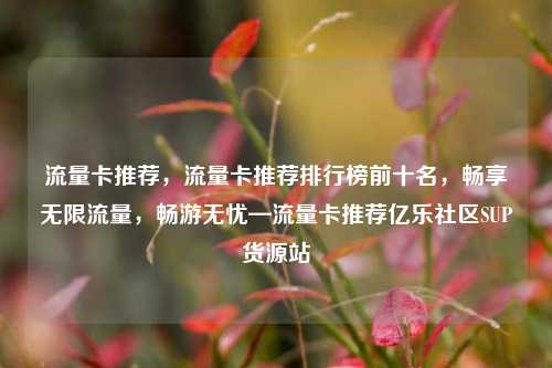 流量卡推荐，流量卡推荐排行榜前十名，畅享无限流量，畅游无忧—流量卡推荐亿乐社区SUP货源站  第1张