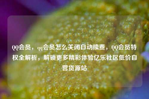 QQ会员	，qq会员怎么关闭自动续费，QQ会员特权全解析，解锁更多精彩体验亿乐社区低价自营货源站  第1张