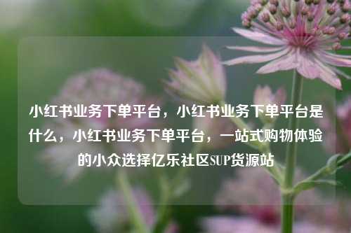 小红书业务下单平台，小红书业务下单平台是什么，小红书业务下单平台	，一站式购物体验的小众选择亿乐社区SUP货源站  第1张