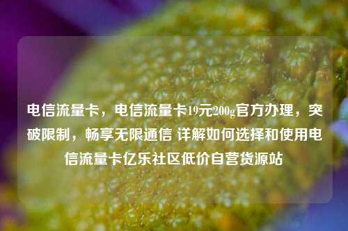 电信流量卡，电信流量卡19元200g官方办理	，突破限制，畅享无限通信 详解如何选择和使用电信流量卡亿乐社区低价自营货源站  第1张