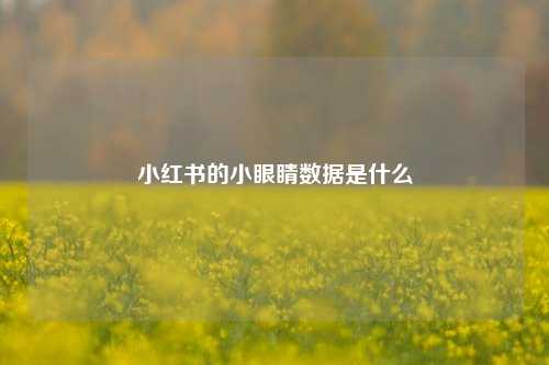 小红书的小眼睛数据是什么  第1张