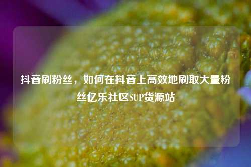 抖音刷粉丝	，如何在抖音上高效地刷取大量粉丝亿乐社区SUP货源站  第1张