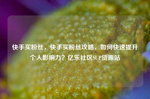 快手买粉丝，快手买粉丝攻略，如何快速提升个人影响力？亿乐社区SUP货源站  第1张