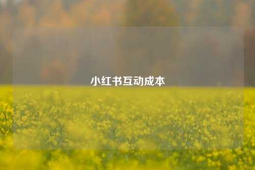 小红书互动成本  第1张