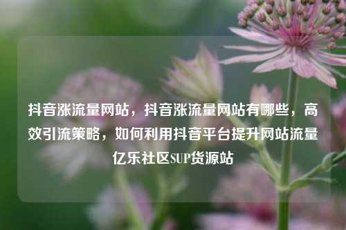抖音涨流量网站	，抖音涨流量网站有哪些，高效引流策略，如何利用抖音平台提升网站流量亿乐社区SUP货源站  第1张