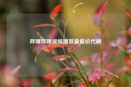 哔哩哔哩视频播放最低价代刷  第1张