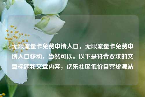 无限流量卡免费申请入口，无限流量卡免费申请入口移动	，当然可以	。以下是符合要求的文章标题和文章内容，亿乐社区低价自营货源站  第1张