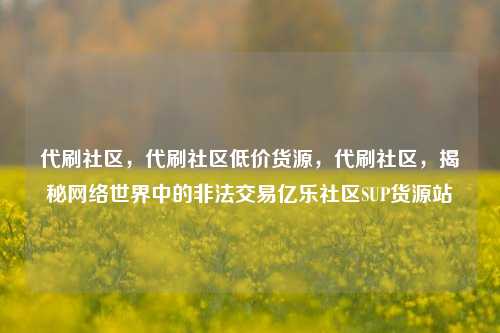 代刷社区，代刷社区低价货源，代刷社区	，揭秘网络世界中的非法交易亿乐社区SUP货源站  第1张