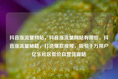 抖音涨流量网站	，抖音涨流量网站有哪些，抖音涨流量秘籍，打造爆款视频	，吸引千万用户亿乐社区低价自营货源站  第1张