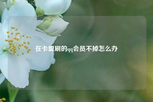 在卡盟刷的qq会员不掉怎么办  第1张 在卡盟刷的qq会员不掉怎么办  第1张