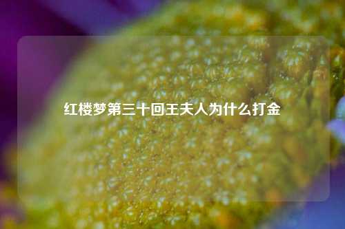 红楼梦第三十回王夫人为什么打金  第1张 红楼梦第三十回王夫人为什么打金  第1张