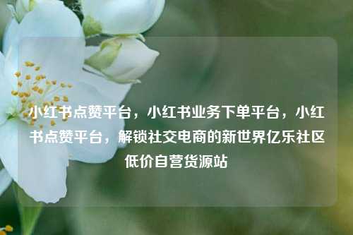 小红书点赞平台，小红书业务下单平台，小红书点赞平台	，解锁社交电商的新世界亿乐社区低价自营货源站  第1张