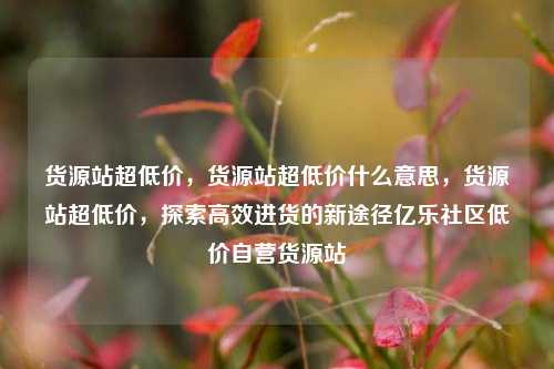货源站超低价，货源站超低价什么意思	，货源站超低价，探索高效进货的新途径亿乐社区低价自营货源站  第1张