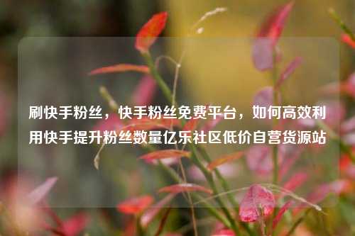 刷快手粉丝，快手粉丝免费平台	，如何高效利用快手提升粉丝数量亿乐社区低价自营货源站  第1张