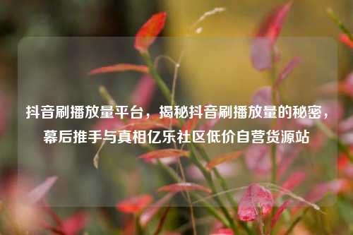 抖音刷播放量平台	，揭秘抖音刷播放量的秘密，幕后推手与真相亿乐社区低价自营货源站  第1张