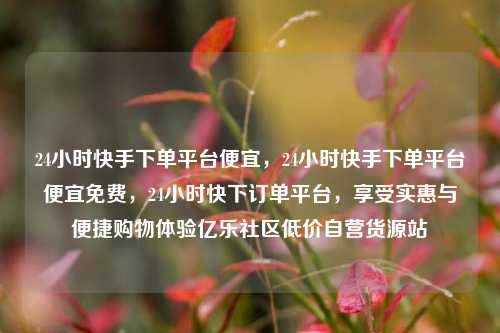 24小时快手下单平台便宜，24小时快手下单平台便宜免费，24小时快下订单平台	，享受实惠与便捷购物体验亿乐社区低价自营货源站  第1张