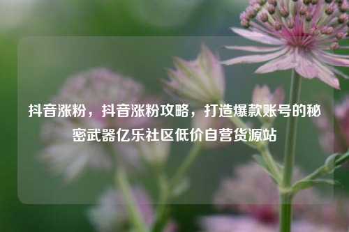 抖音涨粉，抖音涨粉攻略，打造爆款账号的秘密武器亿乐社区低价自营货源站  第1张