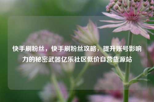 快手刷粉丝，快手刷粉丝攻略，提升账号影响力的秘密武器亿乐社区低价自营货源站  第1张