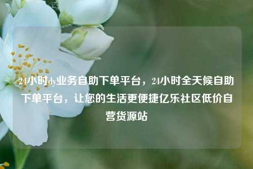 24小时dy业务自助下单平台，24小时全天候自助下单平台，让您的生活更便捷亿乐社区低价自营货源站  第1张