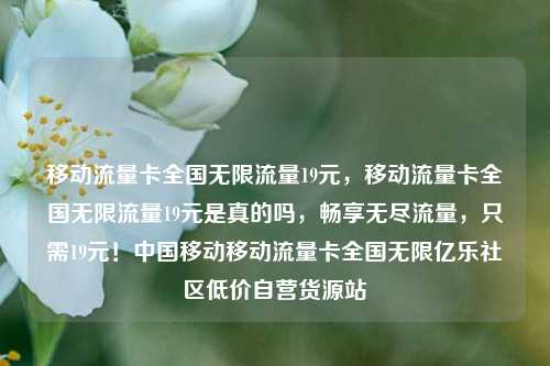 移动流量卡全国无限流量19元，移动流量卡全国无限流量19元是真的吗，畅享无尽流量	，只需19元！中国移动移动流量卡全国无限亿乐社区低价自营货源站  第1张